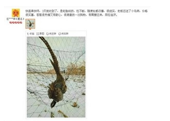 ���ɹ����������׽�쾱��𣚣��ȫ������������ͷ�������¡�