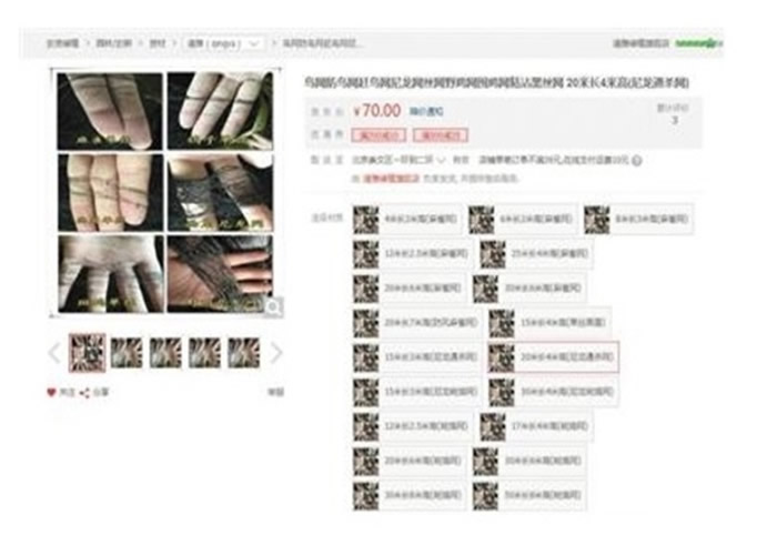 ���Թ��߼۸���ˡ�