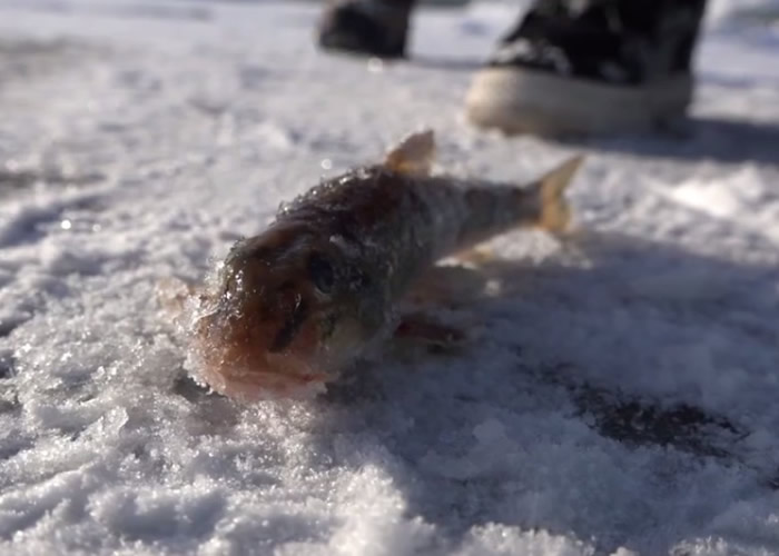 С����뿪��ˮ���ã�Ѹ�������ɱ�����