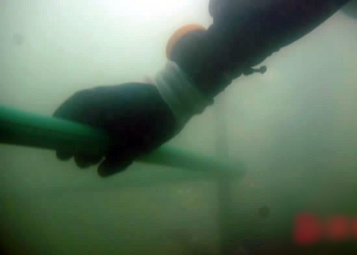 ǱˮԱ�ں��׹̶�ɺ���������ԡ�