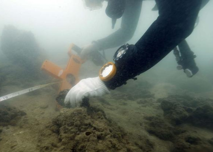 ǱˮԱ�ں�����ê����־��