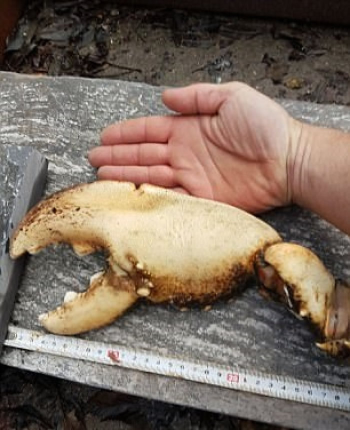 ��Ϻǯ����������ƻ�Ҫ����