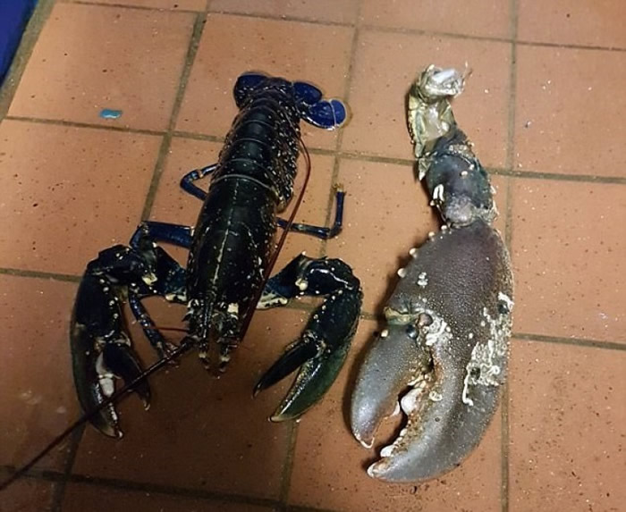 ��Ϻǯ��һ����Ϻ��Ҫ��