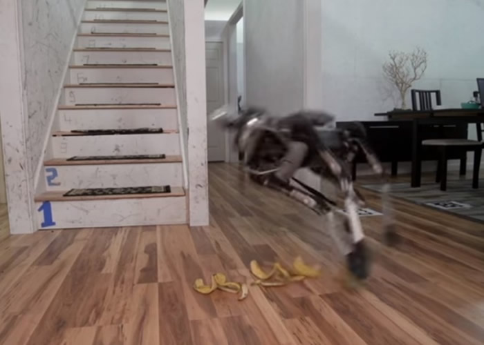 Boston Dynamic��ȥ���з��Ļ������������Խϲ