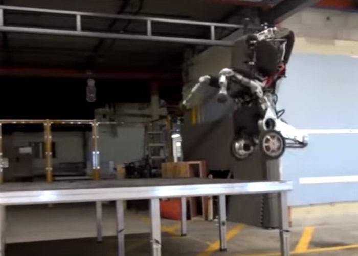 �ó�����Ծ��������֫�����������ɱ����ࡣ