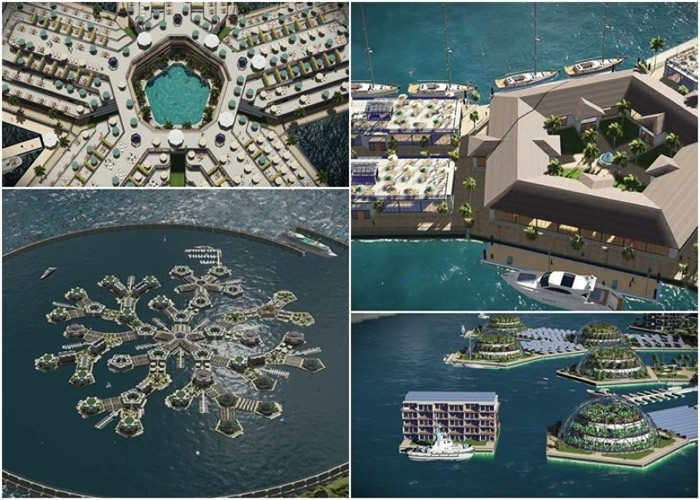 泰尔希望兴建一个“初创国家”。