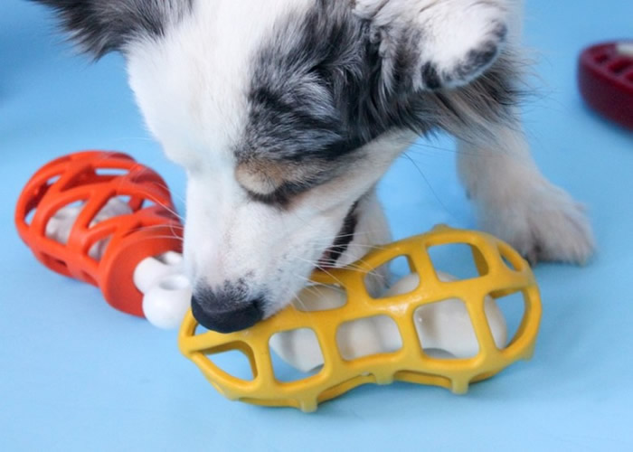 ������߿����ð�Ȯ��й�����Ͷ��Խ�