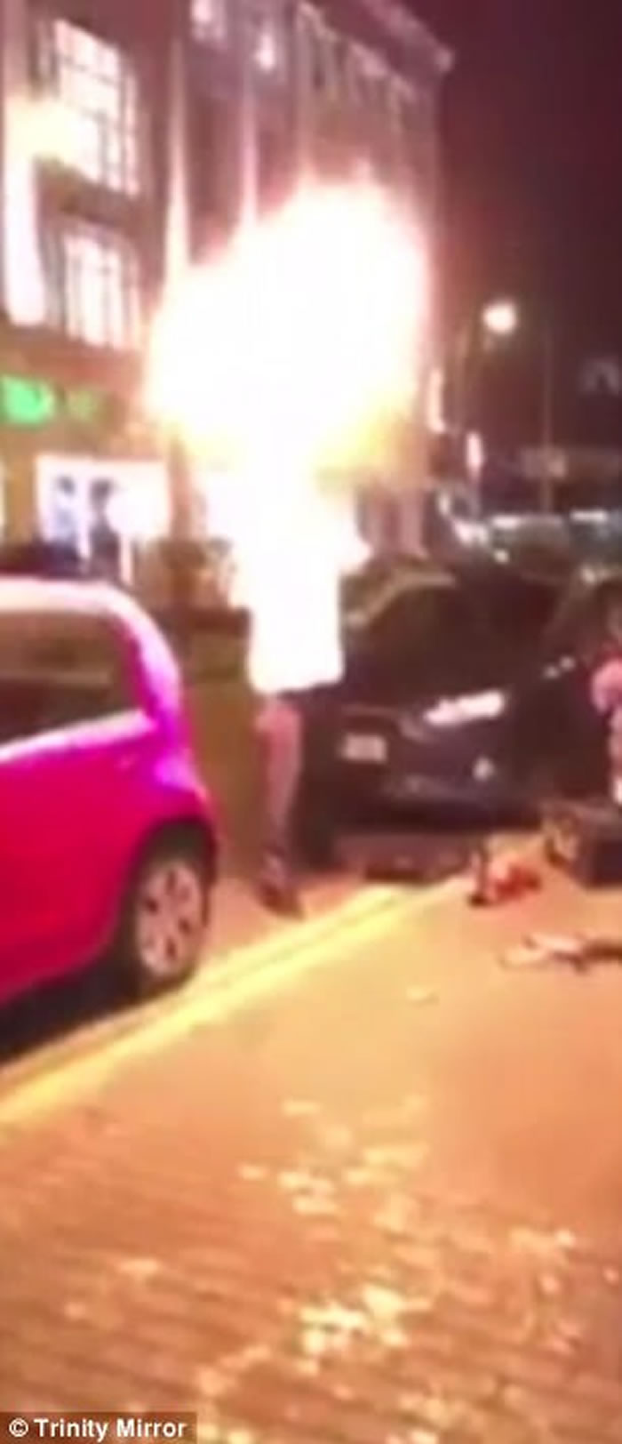 ����è���롱��Ӣ���зḻ�������ݾ��������ʧ�����Ŵ����