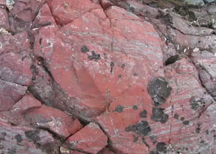 印度中部地区瓜廖尔盆地沉积物中发现20亿年前地球原核生物化石