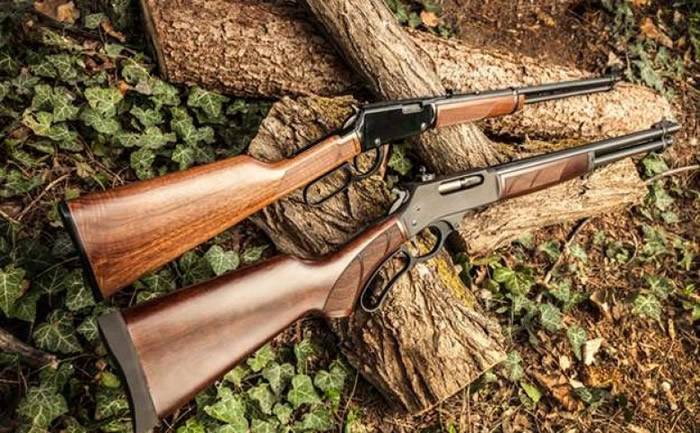 失枪现时仍未能寻回。(资料图片)