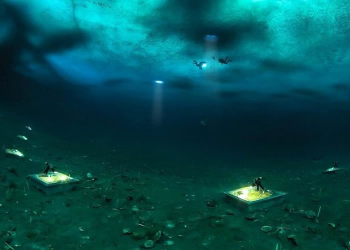 罗斯冰架下的海床愈来愈多“住客”。