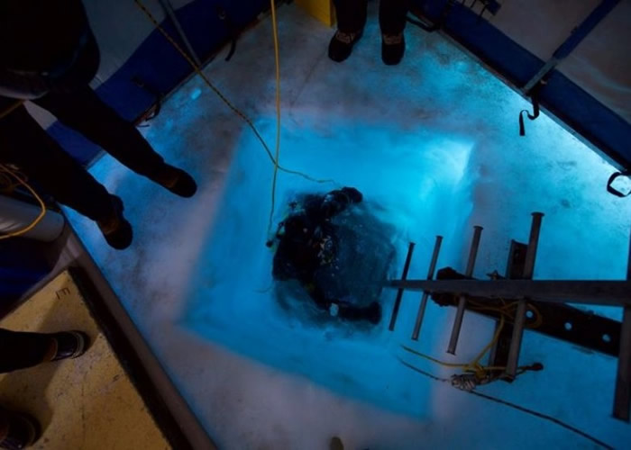 团队潜水探索罗斯冰架下的现况。