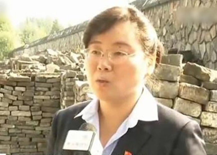 陈辉指,部分砖瓦被圆明园附近居民搬走,用来建筑房子。