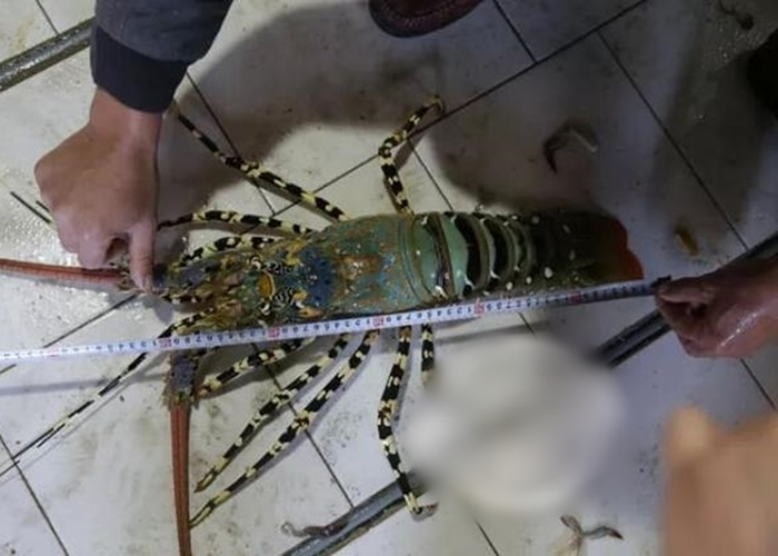 ��Ϻȫ��Լ1.4�ס�