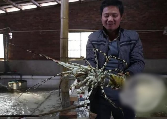 �����˷ܵ����л�������Ϻ���ա�