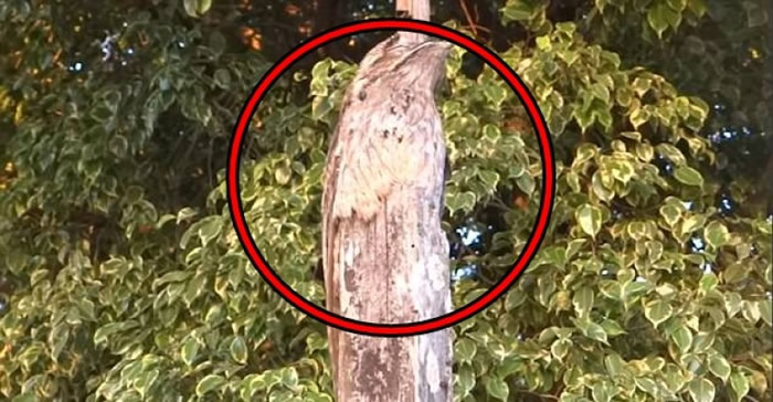 ��𷣨��Ȧʾ�������������ھ�˼��