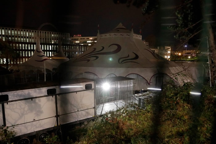 马戏团的老虎逃脱,笼子空空如也。