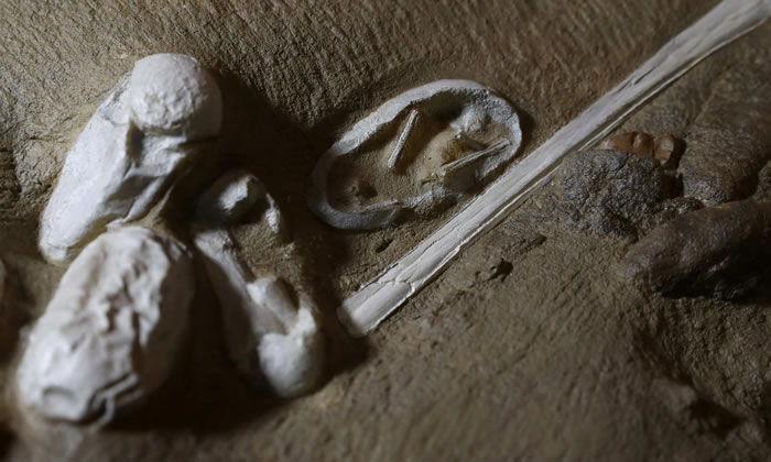 �й��½��������������������ʯ������ṩ������������