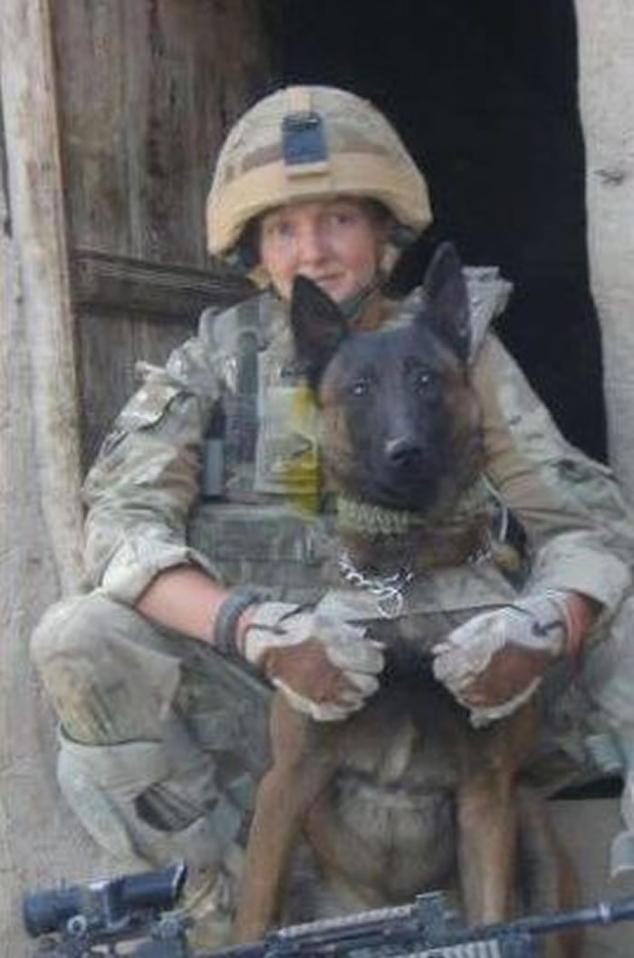 无法重新安置:阿富汗战争中救过数千英军士兵性命的军犬竟面临注射毒物安乐死