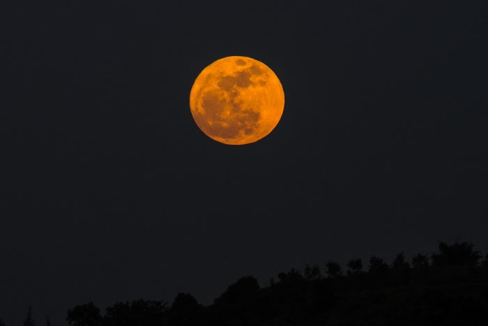 �������ɫ���ˡ�