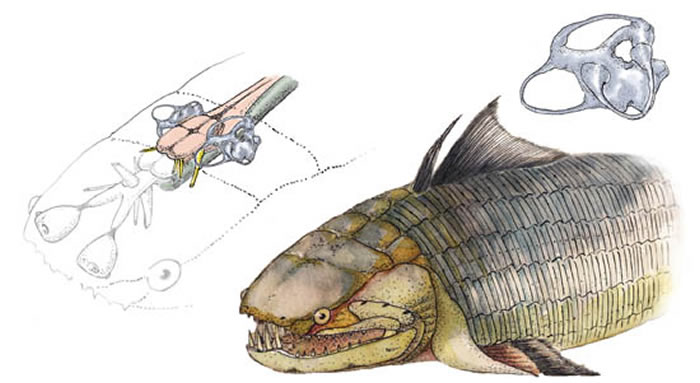 �̶������㼰���Ժ��ڶ��ṹ��ԭ ���׼��ǻ棩