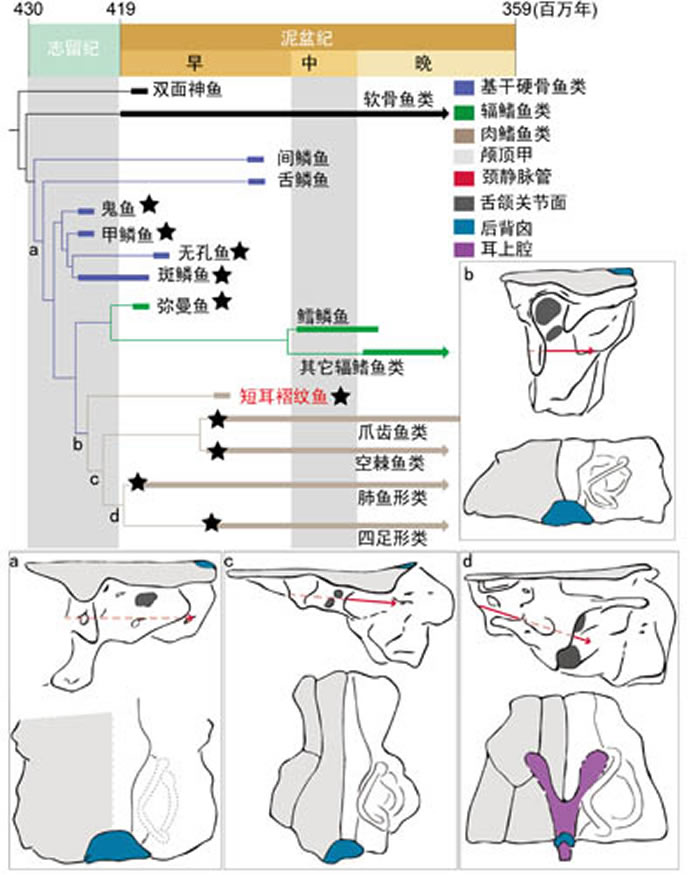 Ӳ�������ݻ�������ʾ���ؽں��ڶ��ܰ͵��ܽṹ���ݻ�����״����ָʾ�й����ֵ�Ӳ�����໯ʯ��¬����ͼ��