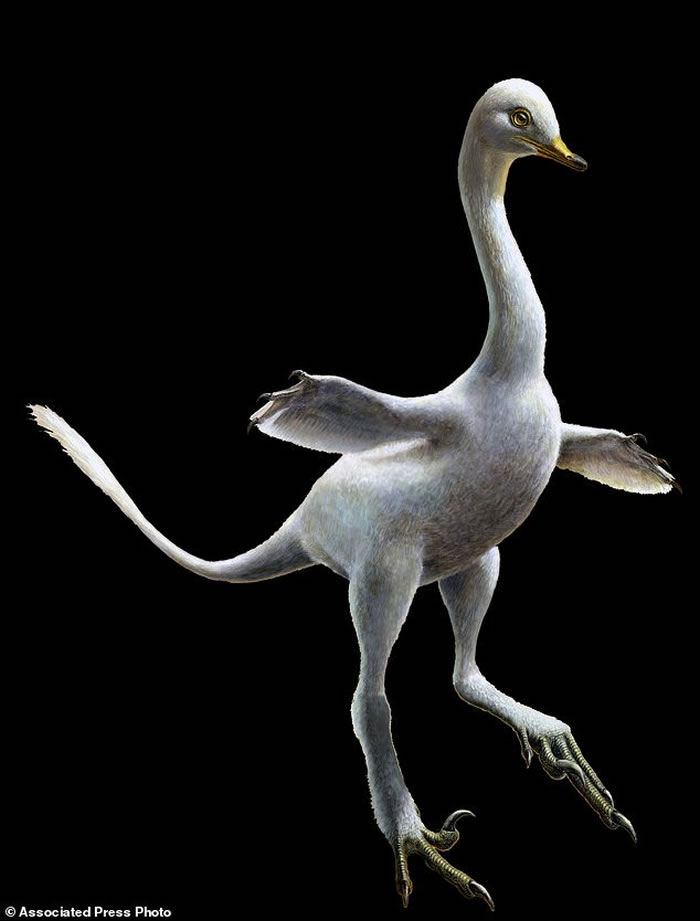 生活在水中似天鹅!蒙古发现白垩纪恐龙新物种——埃氏哈兹卡盗龙