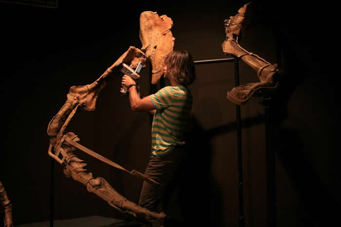 新英格兰大学(University of New England)的古生物学家菲尔.贝尔(Phil Bell)使用一台携带式X光扫描器分析一具于蒙古展出的兽脚类