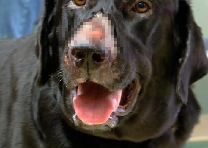 �����ḯʴ��ֻ��Ƥ�⡣