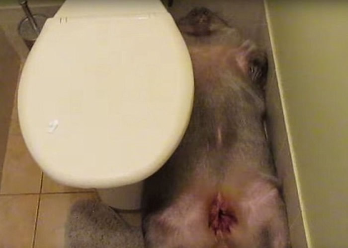 �����Ľų������ڵ���˯�����