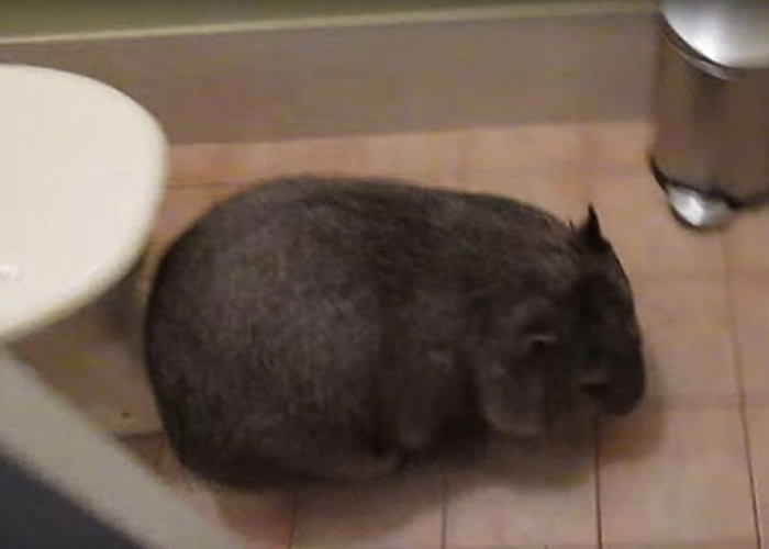 �����⻽�Ѻ�����ԡ�ҡ�