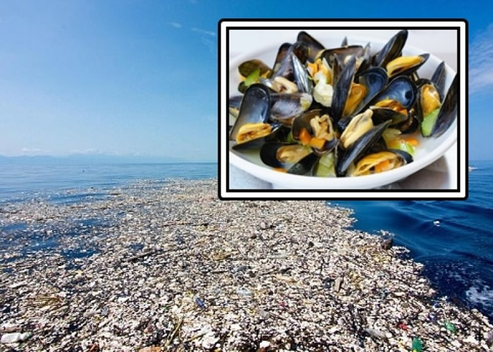 Ⱦأоָ׿දȡܽʳú½