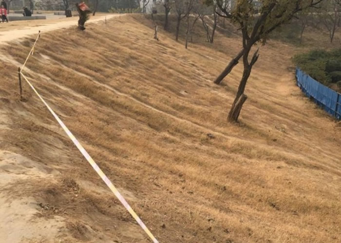 为保护城墙水土,当局已经拉起警戒线。