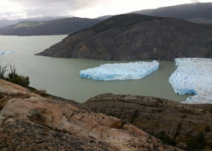 �������ڹ��ҹ�԰�ڵĸ��ױ�������