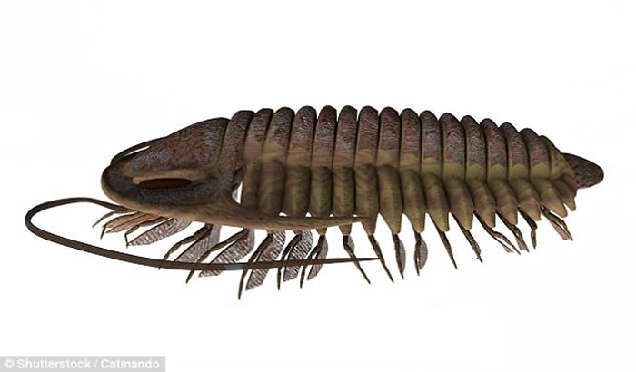 ŷ޿ѧ5.3ʷҶ滯ʯϷϵ۾