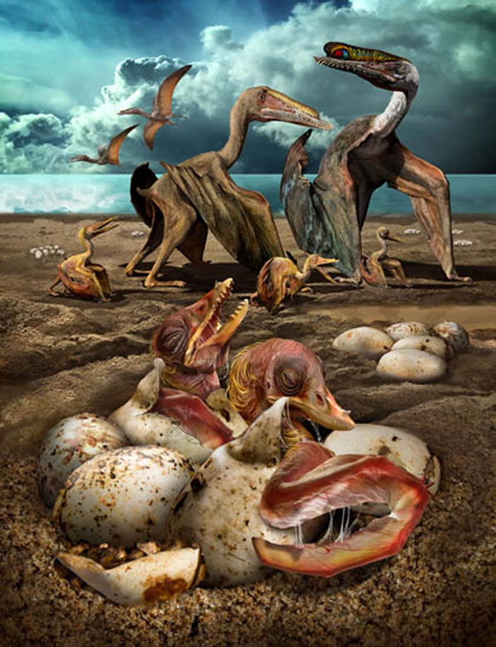 探秘新疆哈密“翼龙公园”