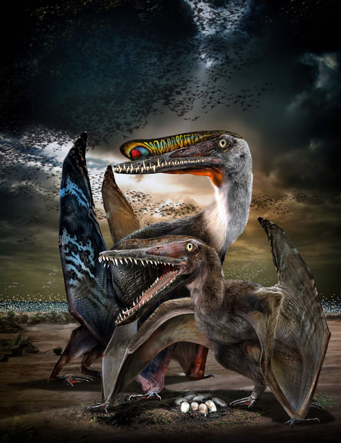 探秘新疆哈密“翼龙公园”