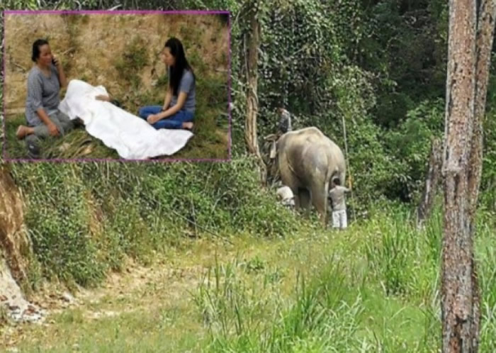 颂萨的尸体被白布覆盖,其亲友十分哀伤。