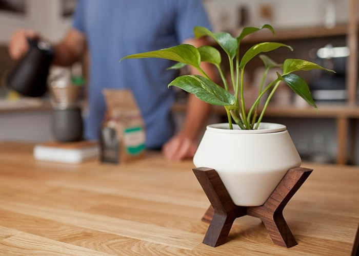 Lander Planter�����Զ���ˮ��