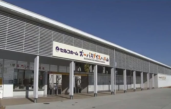 事发于仙台巿八木山动物园。