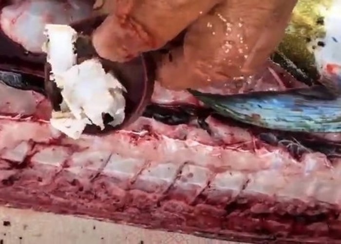 当中包括完整的瓶盖。