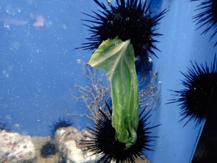 ����һĻ�������������Ը�����