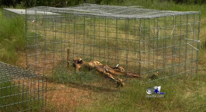 ��������������ѧ��ʬ��ũ������70������鲼