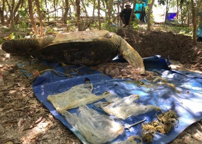 �о���Ա�ں������ڷ��ֽ�������Ʒ��