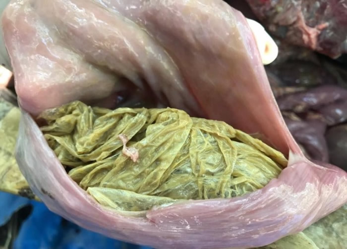 ����ĳ�θ����������