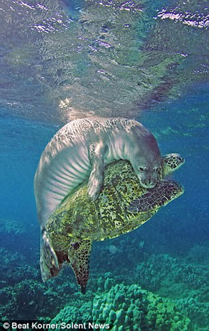 ���������ĺ������������������߲����ĺ�������