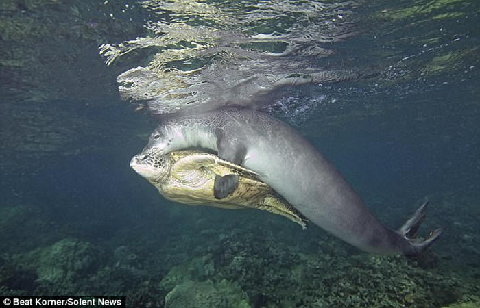 ���������ĺ������������������߲����ĺ�������