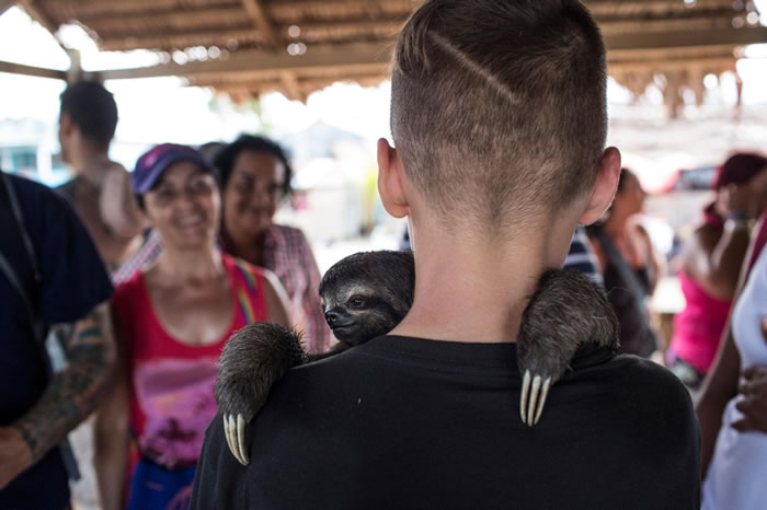 һ���к�����³���������Ǹ۽�����һֻ������������������ѷ���ϵ�һ��С��ׯ����ʮ��Ұ�������⵽�Ƿ�Ȧ�������ο��ܱ��Ŷ������ġ� PHOTOGRAPH BY KIR