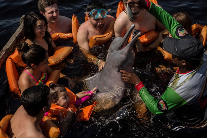 �ڰ����ڸ��޺��У�һȺ�˷ܵ��οʹ�ӵ��һֻ�ۺ���ࡣ�����οͲ���֪�����ֻ�����Ұ�������к��� PHOTOGRAPH BY KIRSTEN LUCE, NATIO