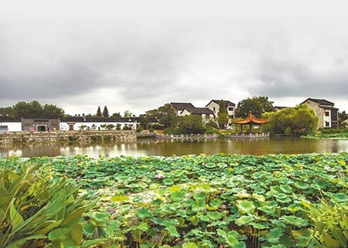 南京江宁区的杨柳村景色秀丽。